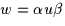 $w=\alpha u\beta$