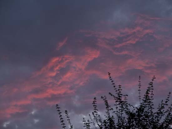 CIEL03