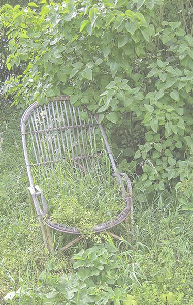 Le fauteuil endormi